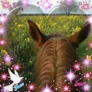 Meet your Posher, Ramona